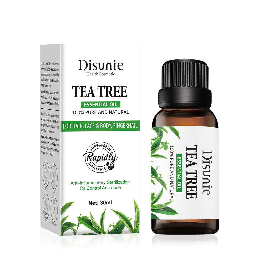 bc0ef07ee05c806c2c6b7dd0b2f23777