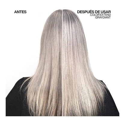 Shampoo for Blonde or Graying Hair Redken E3459800 300 ml (300 ml)