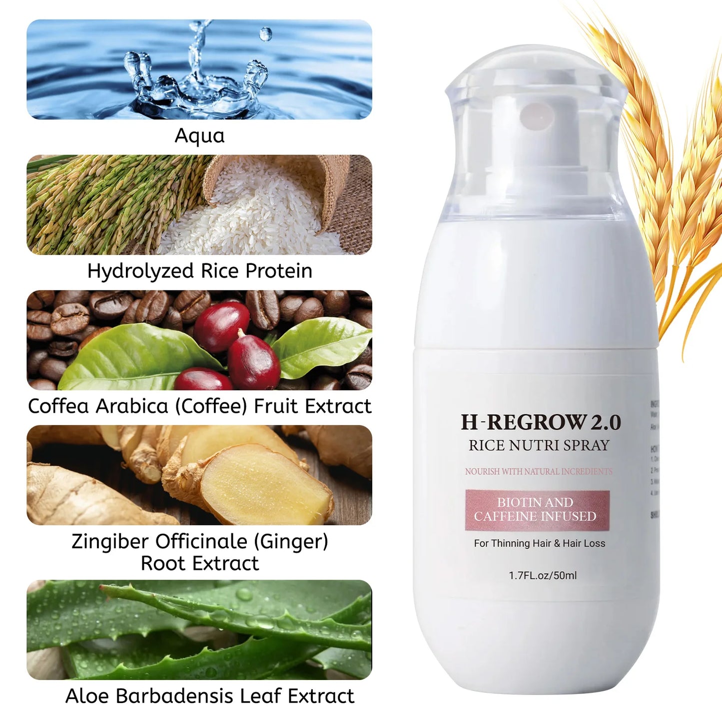 Hair Spray Rice Water Strong Hair Follicle Root Thick Loss Prevention